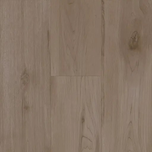 Wildcraft Maple PCWC 4633 Charmed