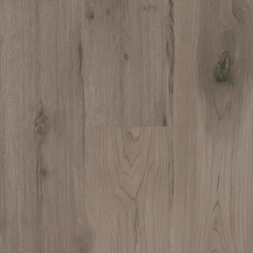 Wildcraft Maple PCWC 4658 Solace