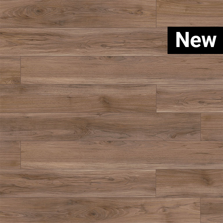 English Walnut, 7537