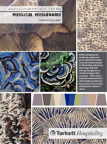 DECEMBER 2021:  MYSTICAL MUSHROOMS  From soft neutrals to vibrant blues, mushrooms are as visually exciting as they are useful.
